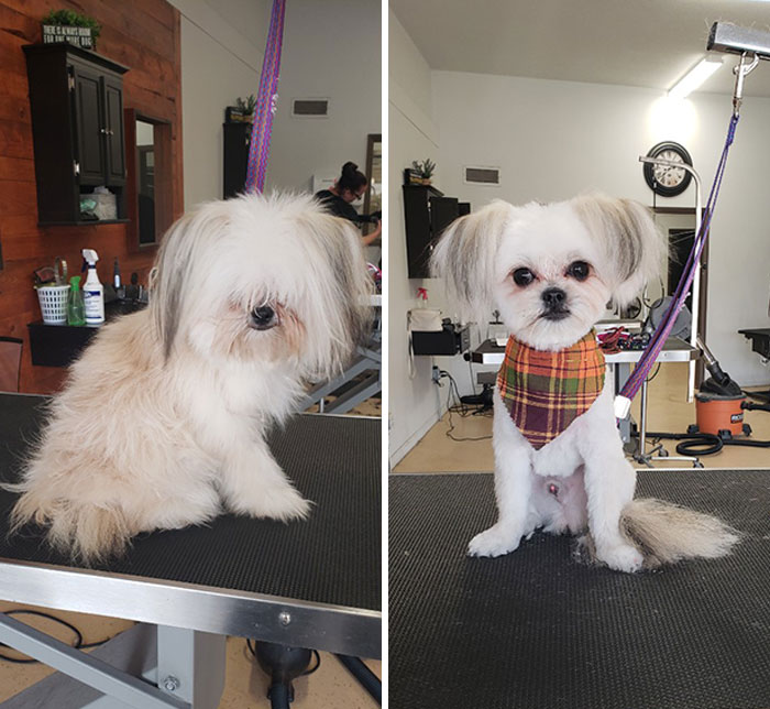 Ruby before and after