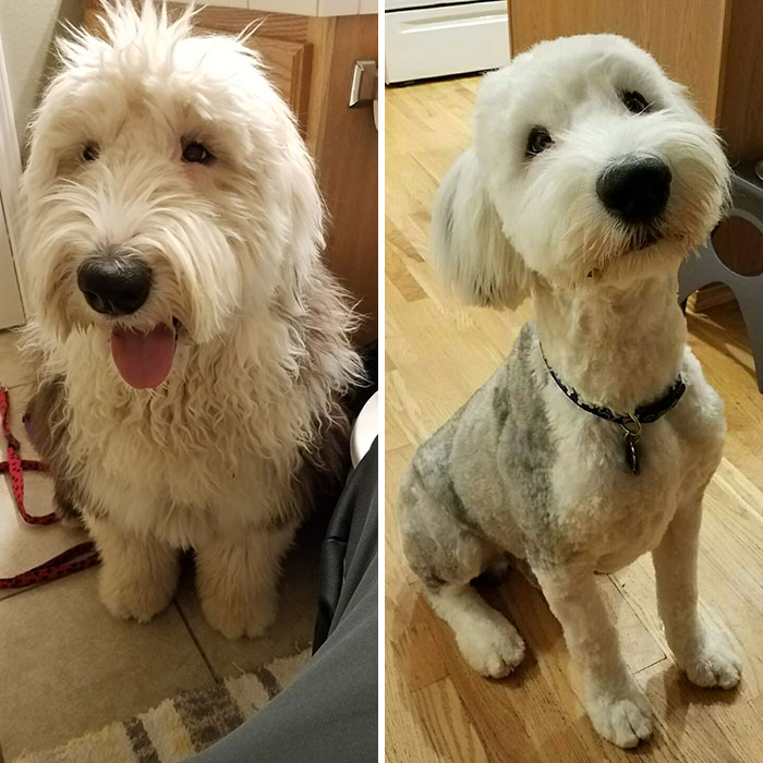 Zoe before and after