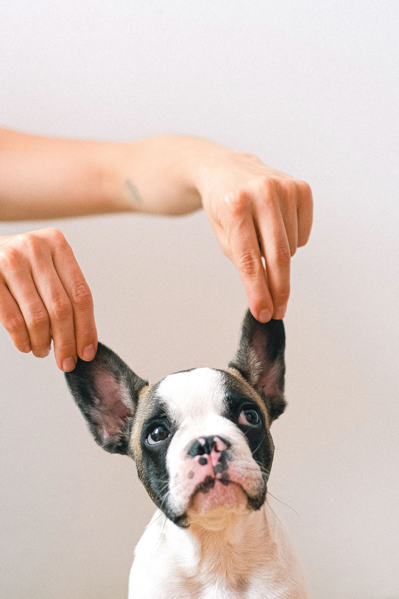 Ear Cleaning