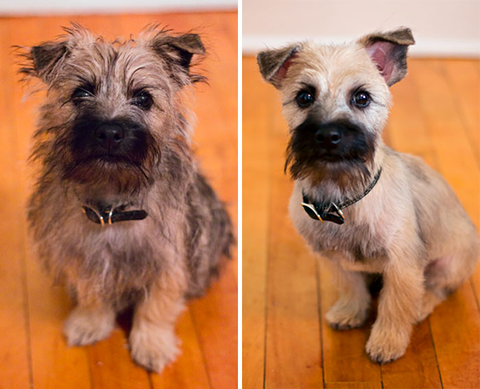 Max before and after
