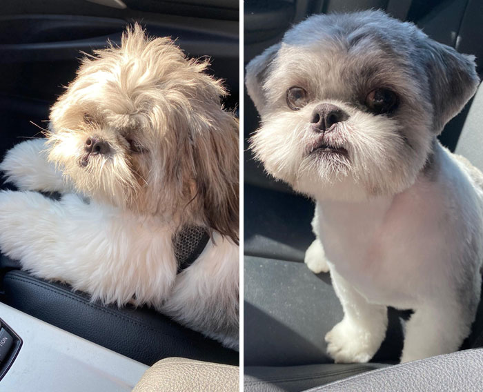 Finn before and after